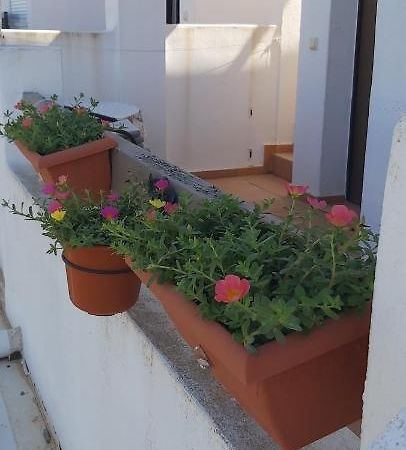 Condado De Alhama, Naranjos 8 Lägenhet Alhama de Murcia Exteriör bild