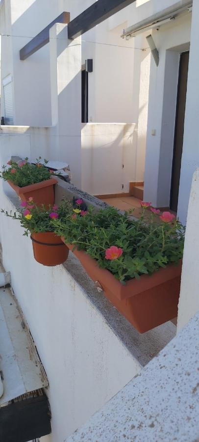 Condado De Alhama, Naranjos 8 Lägenhet Alhama de Murcia Exteriör bild